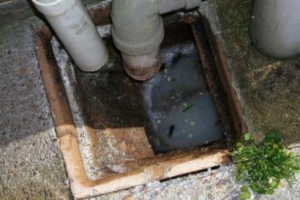 Débouchage égout et sterput